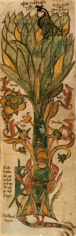 The World Tree, Yggdasil, as depicted in the 17th century Icelandic manuscript AM 738 4to, or Edda oblongata. 